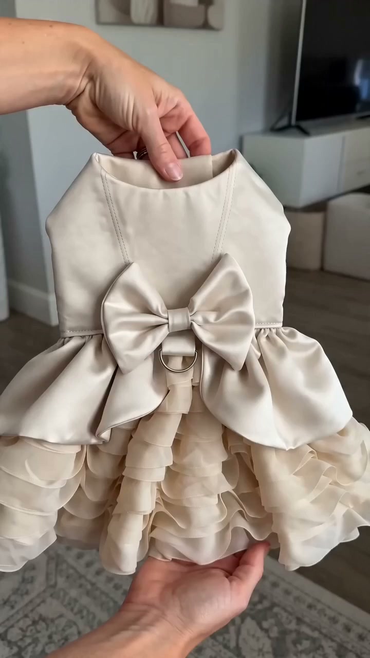 Gee the Dog Pet Clothing Try-On